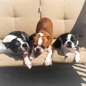 Meet your Posher, Jami